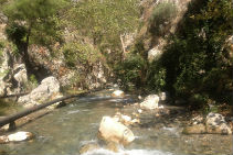 Yuvarlak Çay Yemekli Turlar